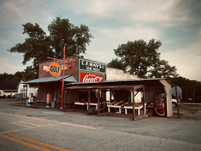 Passing the Torch in the South: Why Family Enterprises Are Planting Their Legacy Roots Here